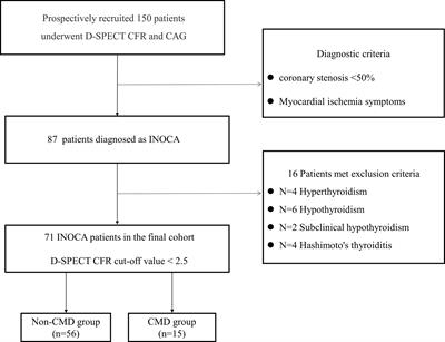 FT4/FT3 ratio: A novel biomarker predicts coronary microvascular dysfunction (CMD) in euthyroid INOCA patients